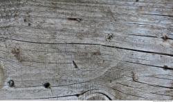 Photo Textures of Wood
